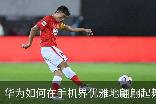 华为如何在手机界优雅地翩翩起舞？